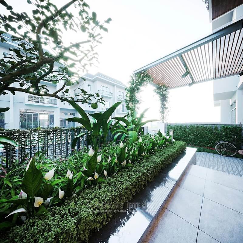 Morehome nhận thiết kế kiến trúc ngoại thất, sân vườn cho biệt thự tại hà nội hồ chí minh